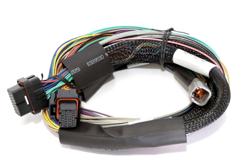 Haltech Elite 2500 Basic Universal Wire-In Harness w/o Relays or Fuses - 2.5m (8ft)