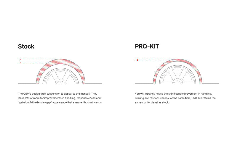 Eibach Pro-Kit for 17-20 Tesla 3 Standard Range